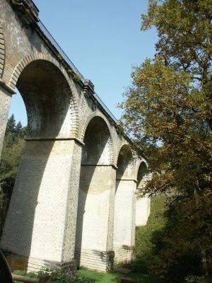 Saut à l'élastique.